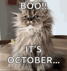 Boo Its October Good Morning