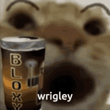 Cat Sip Schlorp