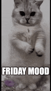 Friday End Of The Week