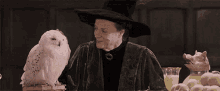Harry Potter Hp