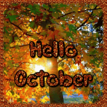 Hello October Tree