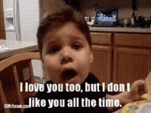 I Love You Too But I Dont Like You All The Time