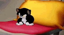 Kitty Kitten