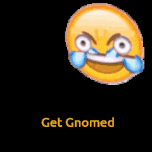 Lol Get Gnomed