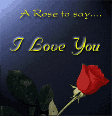 Love You Lots I Love You