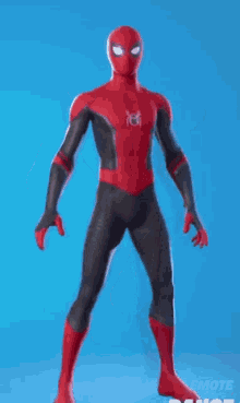Spiderman Fortnite